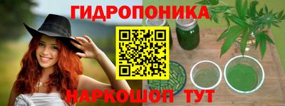 соль ск Партизанск